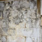 Microbial growth on block foundation