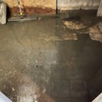 Black water-sewage cleanup