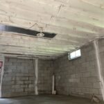 Treated basement microbial -growth on sheathing & joists